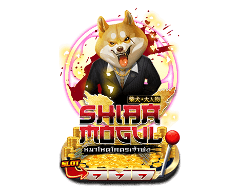 SLOT DANA AMB